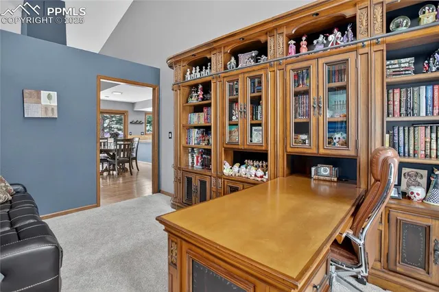 a living room with lots of furniture and a book shelf