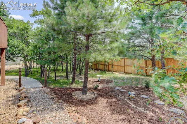 a view of a park with large trees