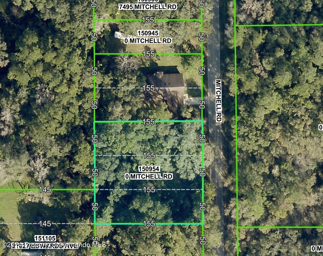 0 Mitchell Road Brooksville, FL 34601 - Photo 12 of 12