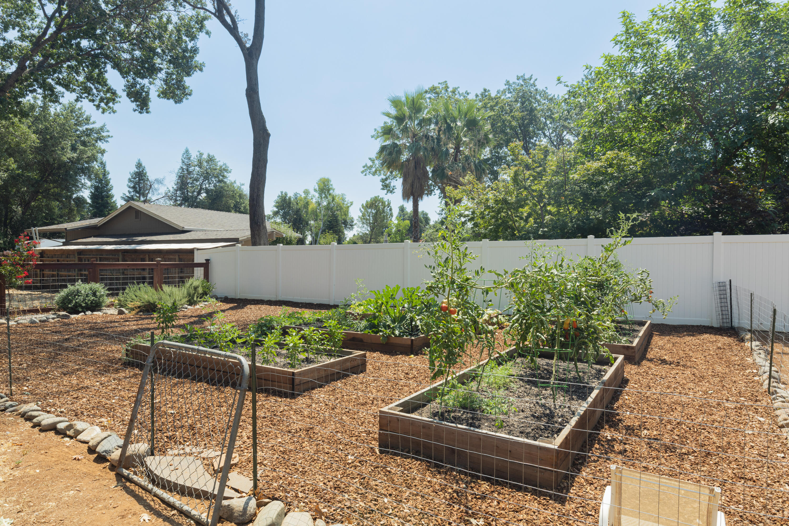 4001 Alta Mesa Drive Redding, CA 96002 - Photo 33 of 42 a view of a backyard