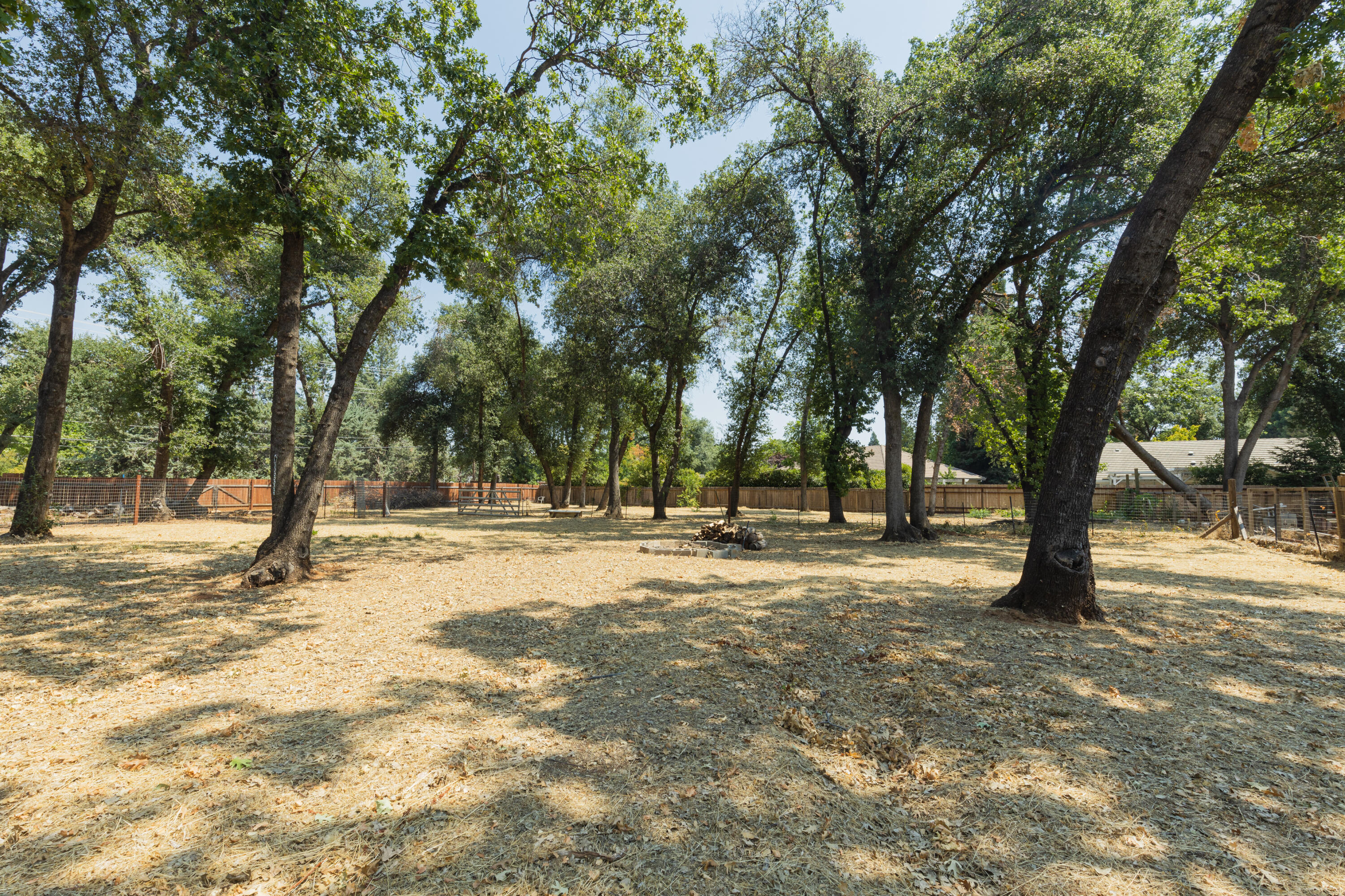 4001 Alta Mesa Drive Redding, CA 96002 - Photo 35 of 42 a view of a trees with a yard