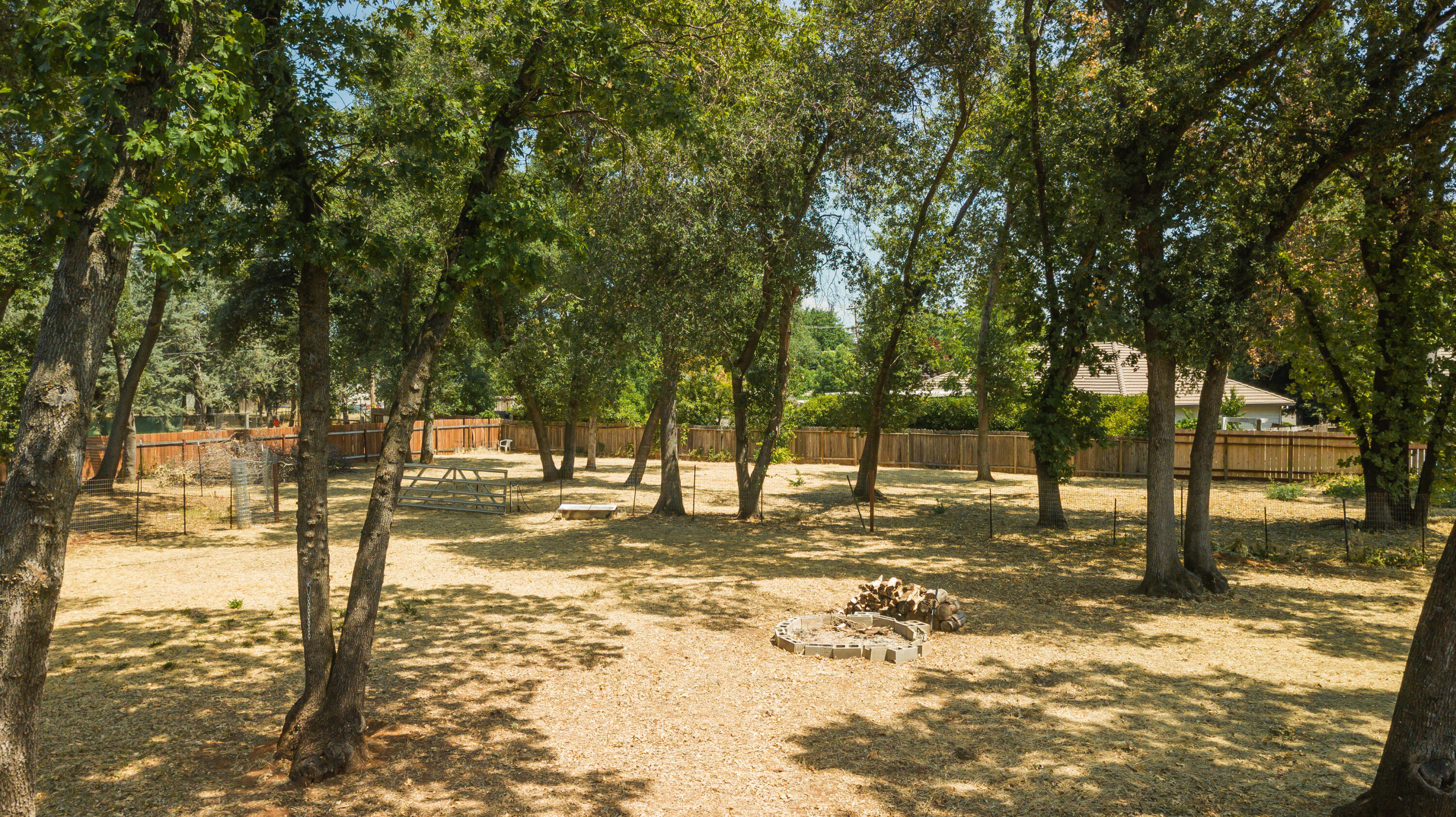 4001 Alta Mesa Drive Redding, CA 96002 - Photo 38 of 42 a view of a yard with a tree