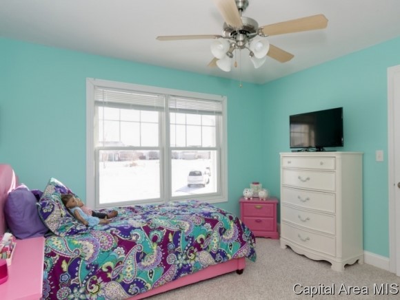 333 Burberry Lane Rochester, IL 62563 - Photo 8 of 11