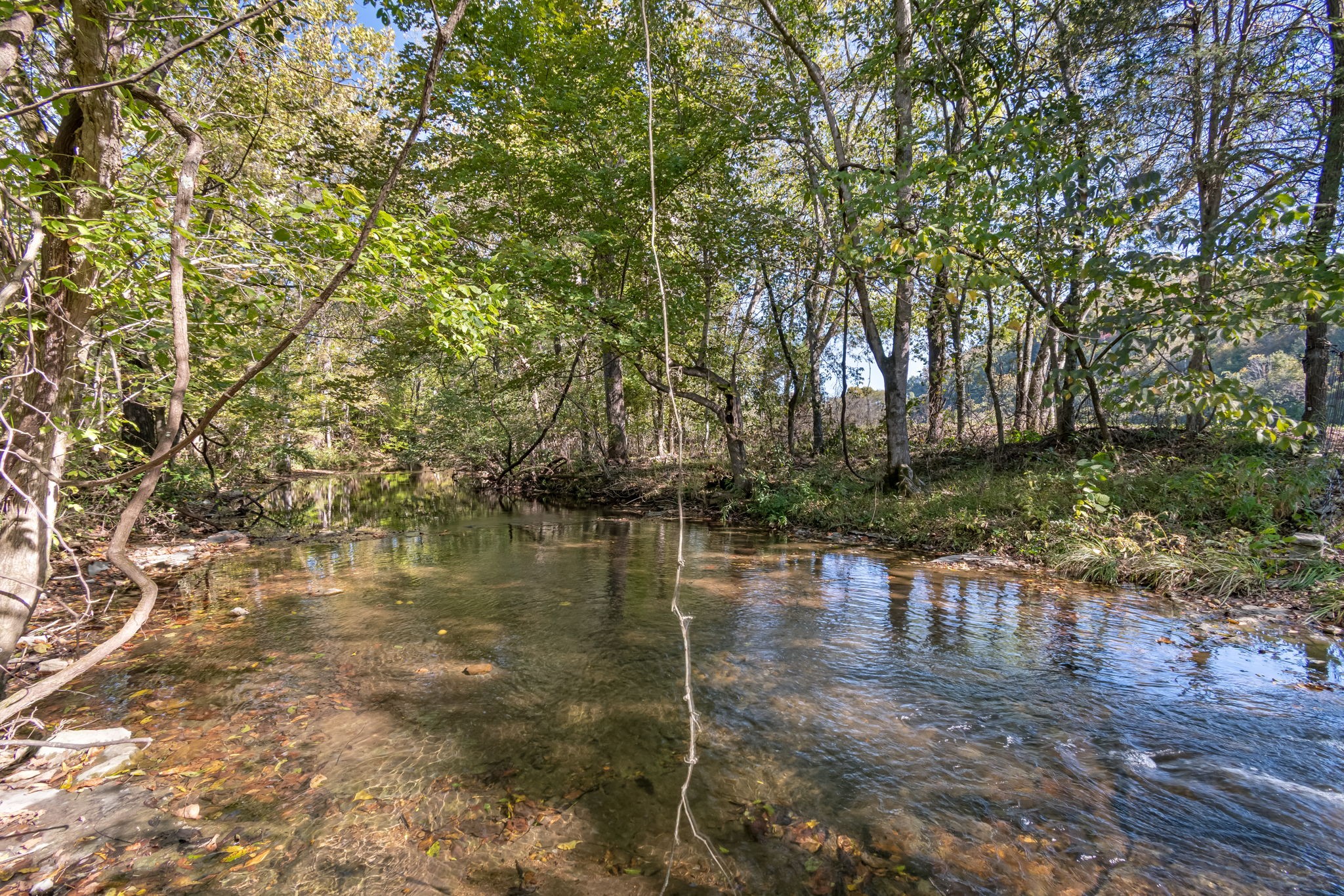 260 West Fork Road Mount Pleasant, TN 38474 - Photo 3 of 54 a view of water pond with green space