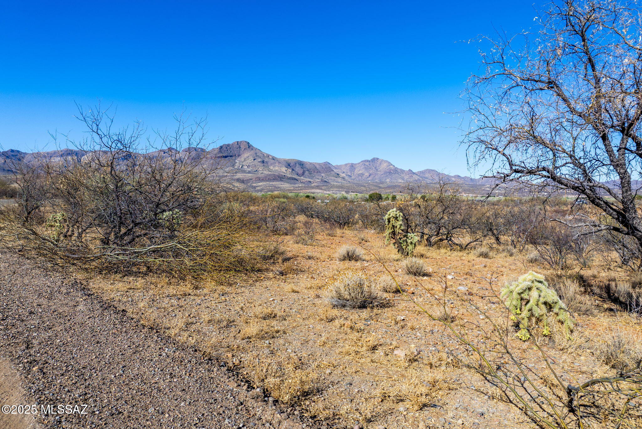 32 Calle Dinamarca, Unit 10 Rio Rico, AZ 85648 - Photo 6 of 8 Gallery Image 6