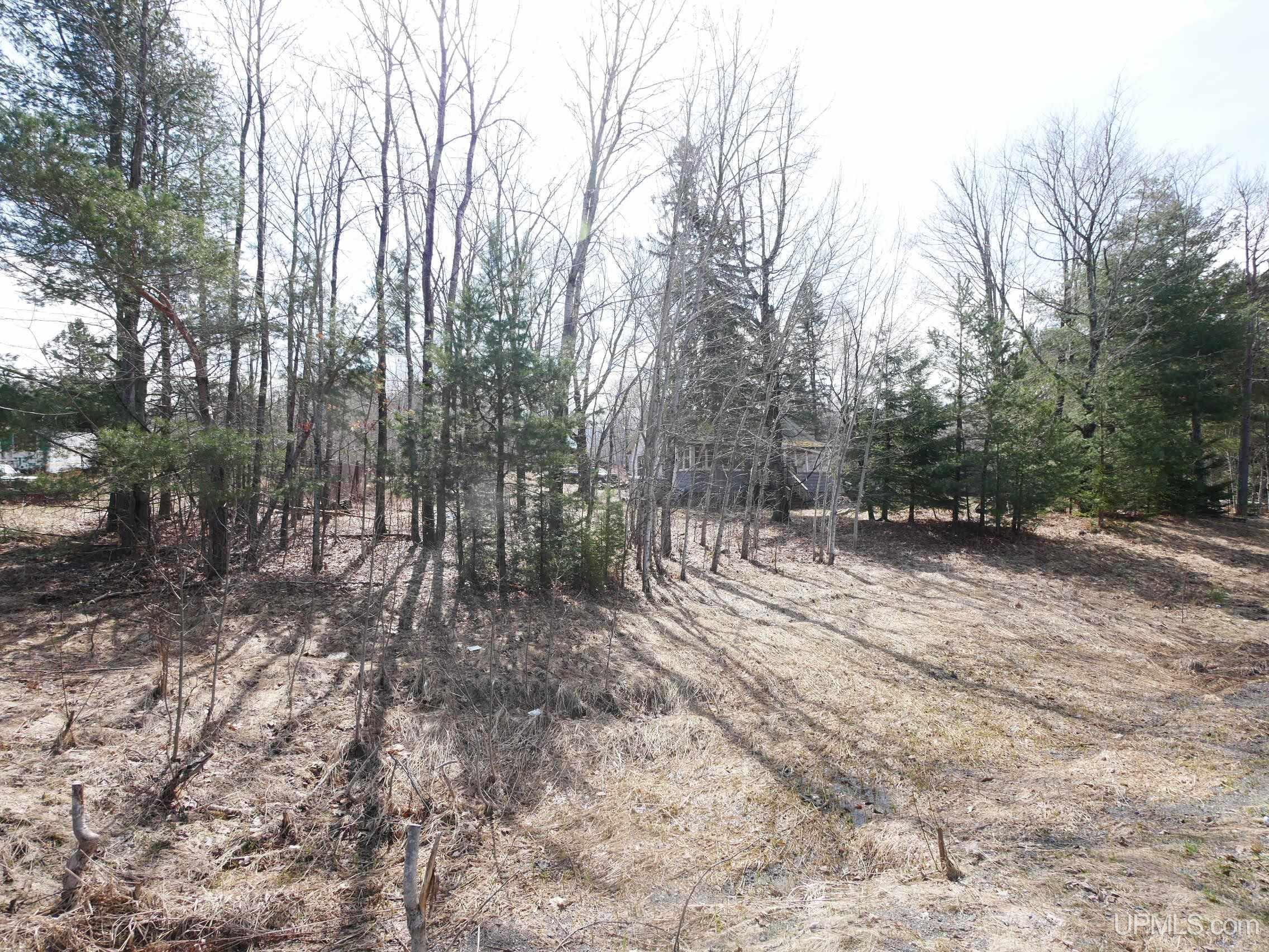 16234 Skanee Road Lanse, MI 49946 - Photo 4 of 21 Gallery Image 4