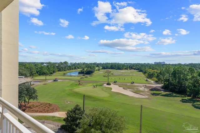 a view of a swimming pool and a large tree
