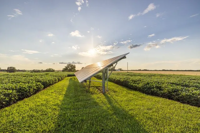 $559,000 | 10791 Northeast State Rte D, Butler, MO 64730