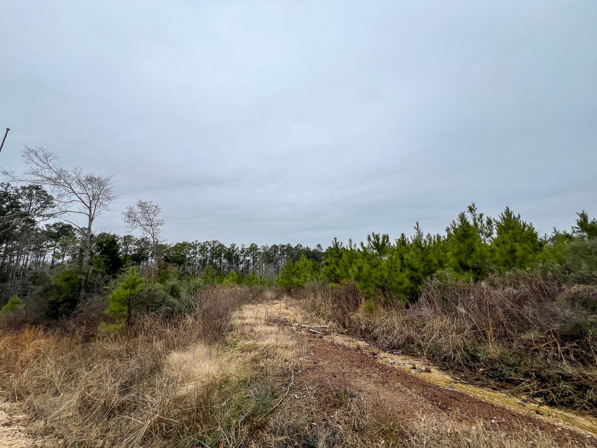 2 Fm 2626 Newton, TX 75966 - Photo 11 of 16