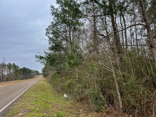 $88,000 | 2 Fm 2626, Newton, TX 75966