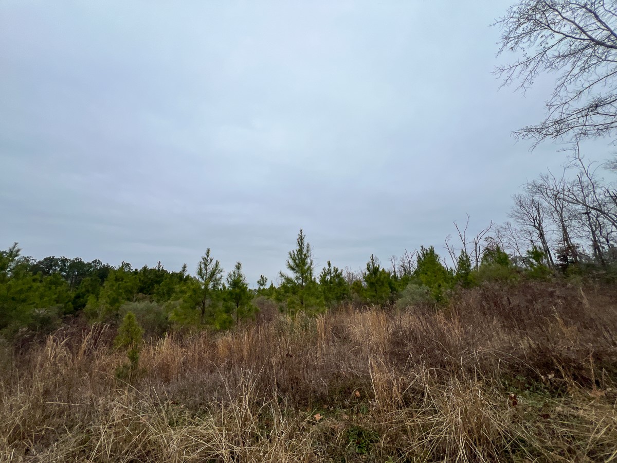 2 Fm 2626 Newton, TX 75966 - Photo 10 of 16