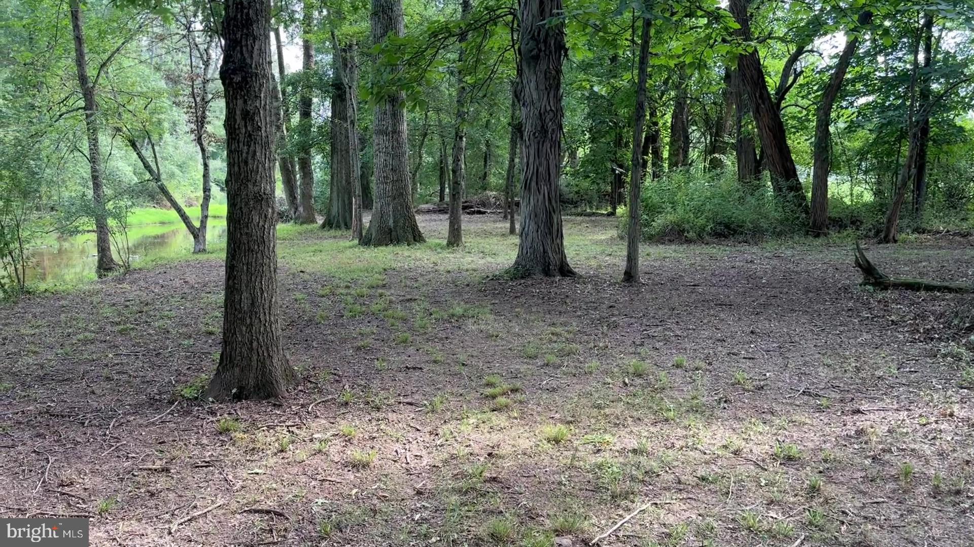 37 Barbertown Point Breeze Road, Unit 3 LOT Frenchtown, NJ 08825 - Photo 29 of 47 Trail picnic area