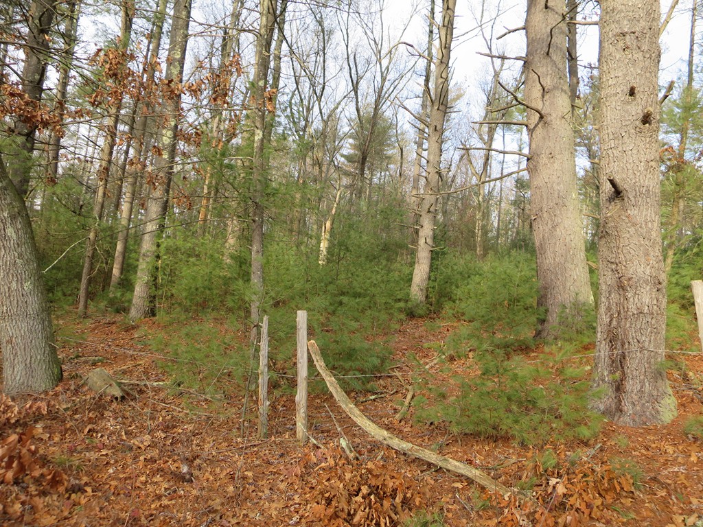 Lot 10 Bumstead Road Monson, MA 01057 - Photo 3 of 3 Gallery Image 3