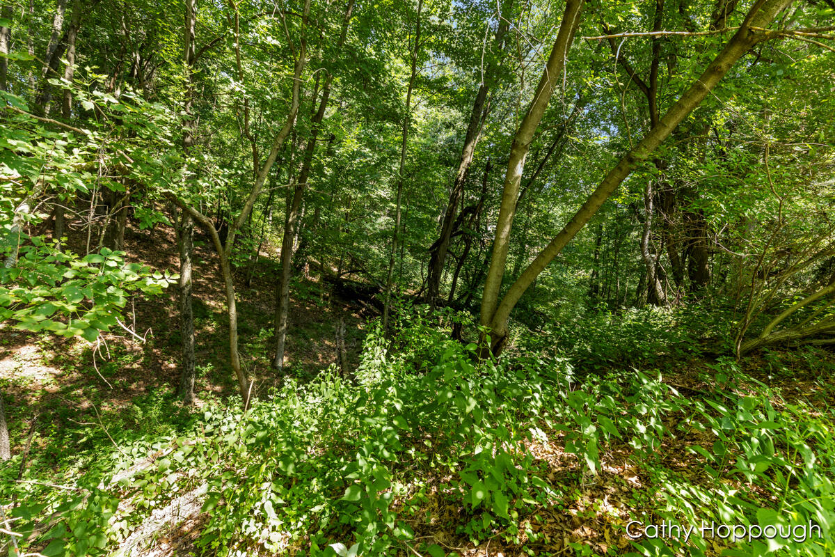 735 Prairie Creek Road Ionia, MI 48846 - Photo 69 of 81