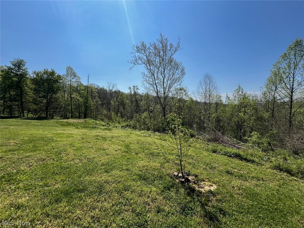 49250 Cowgill Road Summerfield, OH 43788 - Photo 39 of 44