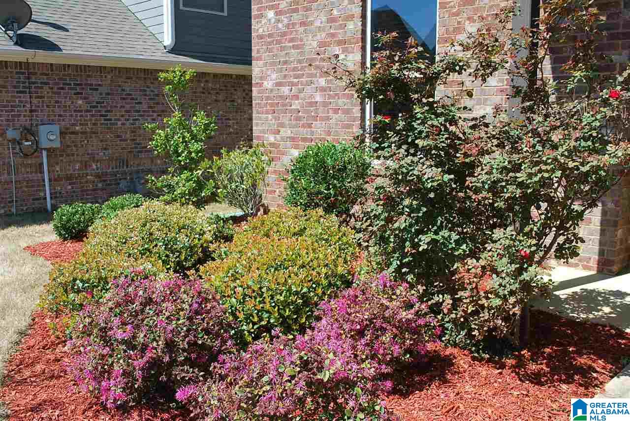 4627 Brookshire Loop Bessemer, AL 35022 - Photo 2 of 38