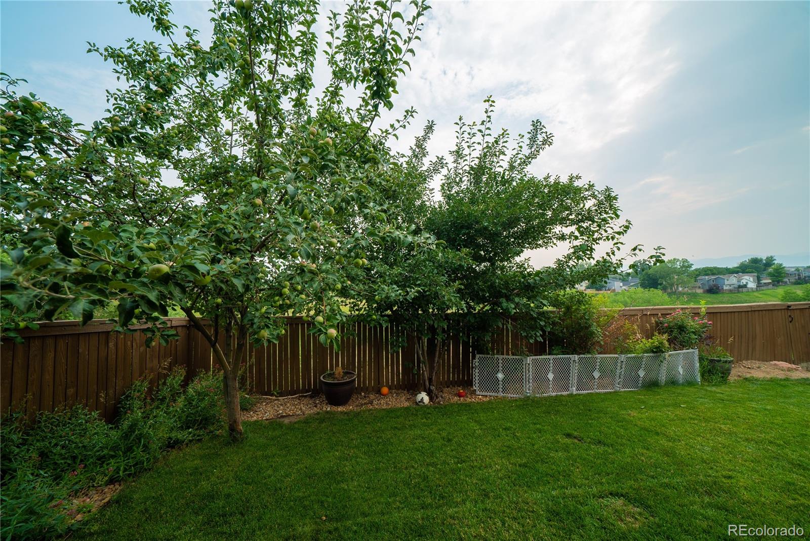 622 Longfellow Lane Highlands Ranch, CO 80126 - Photo 6 of 24 a view of a backyard with large trees and wooden fence