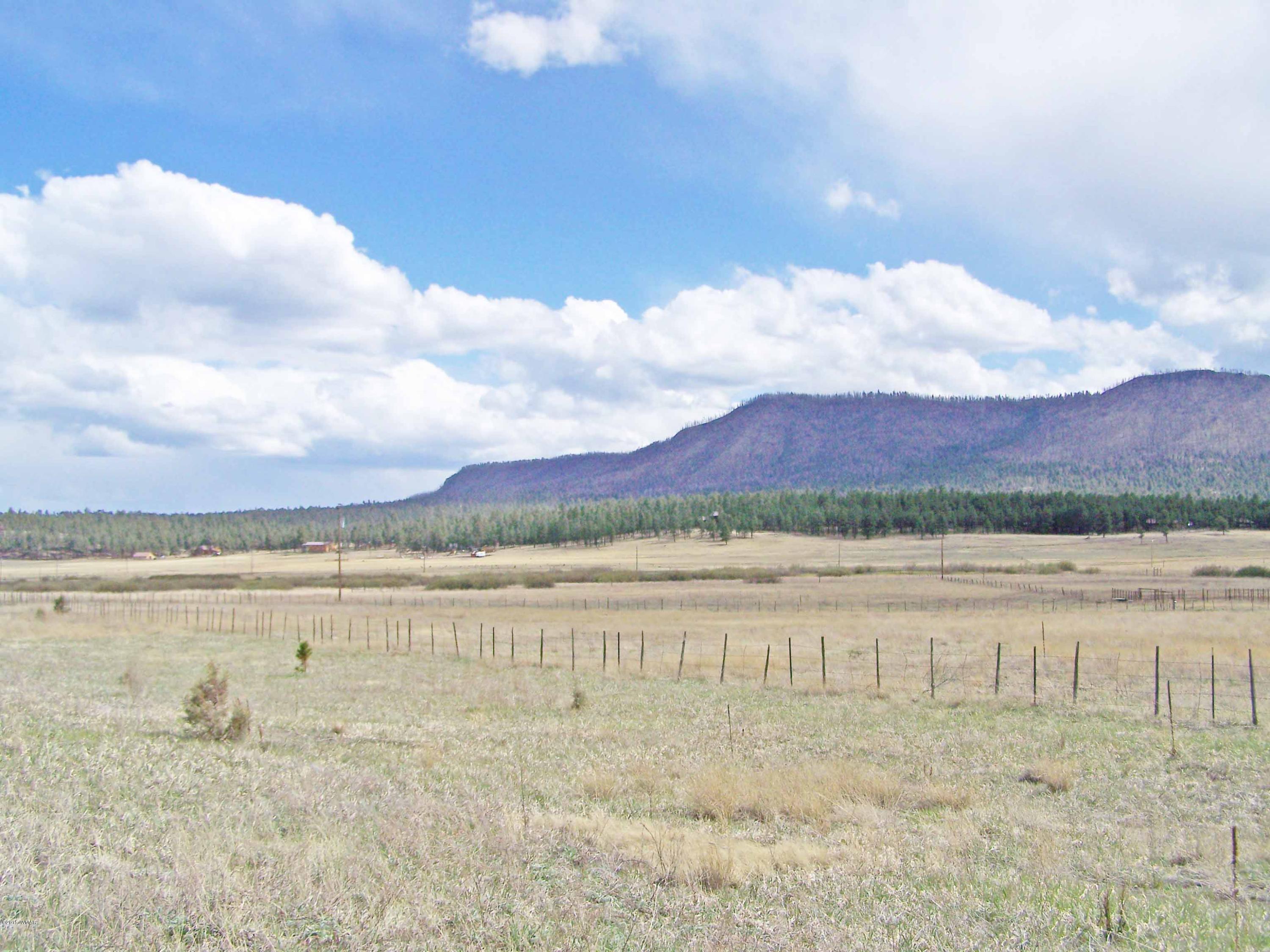 180 SOUTH Alpine Az 85920 Alpine, AZ 85920 - Photo 2 of 4