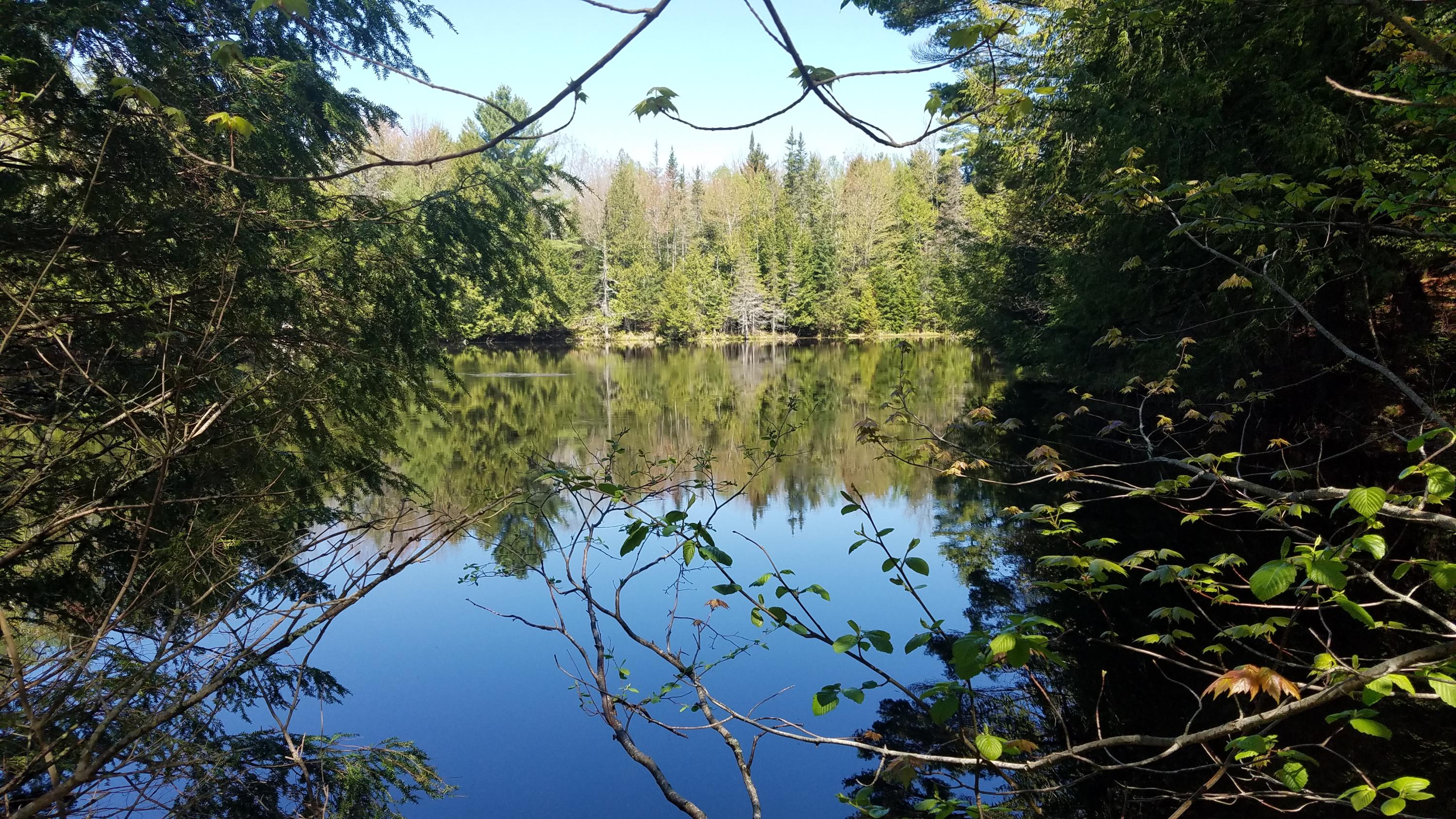 Tbd Stock Farm Road South Paris, ME 04281 - Photo 10 of 12 20190526_101404