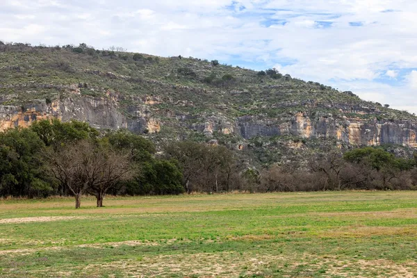a view of a house with backyard and deck