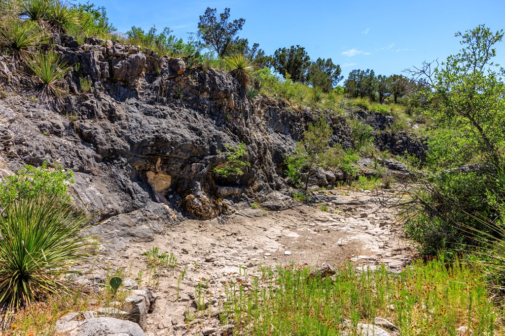 256 Persimmon Point Mason, TX 76856 - Photo 37 of 60