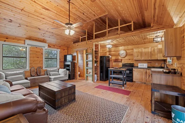 a close up of a flower in a garden