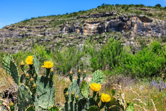 $6,150,000 | 256 Persimmon Point, Mason, TX 76856