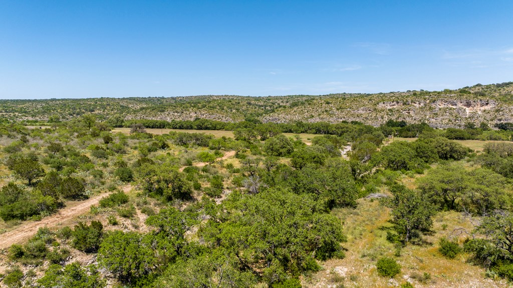 256 Persimmon Point Mason, TX 76856 - Photo 46 of 60 a view of a city with lush green forest