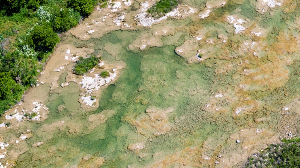 256 Persimmon Point Mason, TX 76856 - Photo 48 of 60 a close up of a flower in a garden