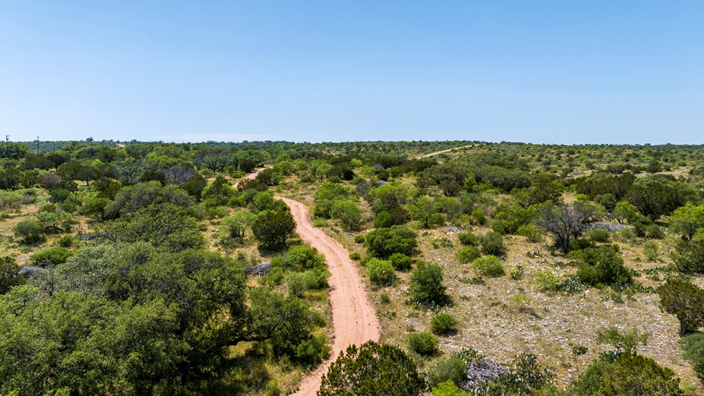 256 Persimmon Point Mason, TX 76856 - Photo 50 of 60