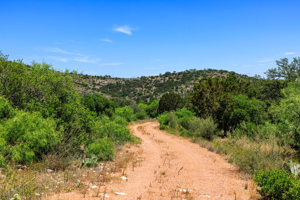 256 Persimmon Point Mason, TX 76856 - Photo 53 of 60 a view of a pathway with a yard