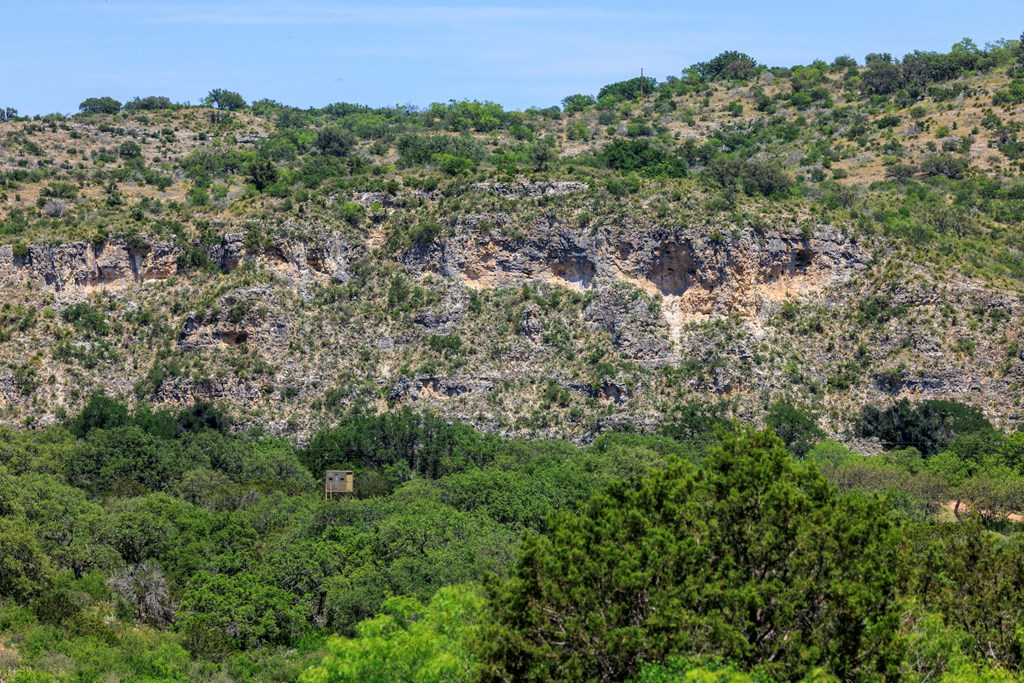 256 Persimmon Point Mason, TX 76856 - Photo 55 of 60 an aerial view of residential house with outdoor space and trees all around