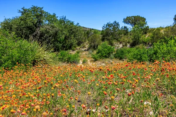 $6,150,000 | 256 Persimmon Point, Mason, TX 76856