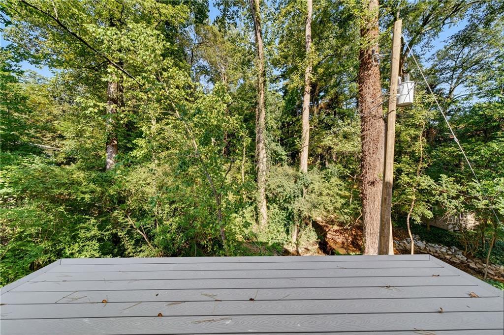 1176 Lullwater Road Northeast Atlanta, GA 30307 - Photo 43 of 54