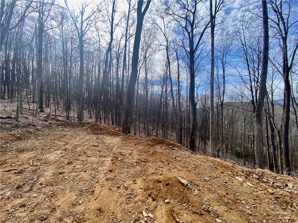 Old Chestnut Mountain Road Newland, NC 28657 - Photo 25 of 33