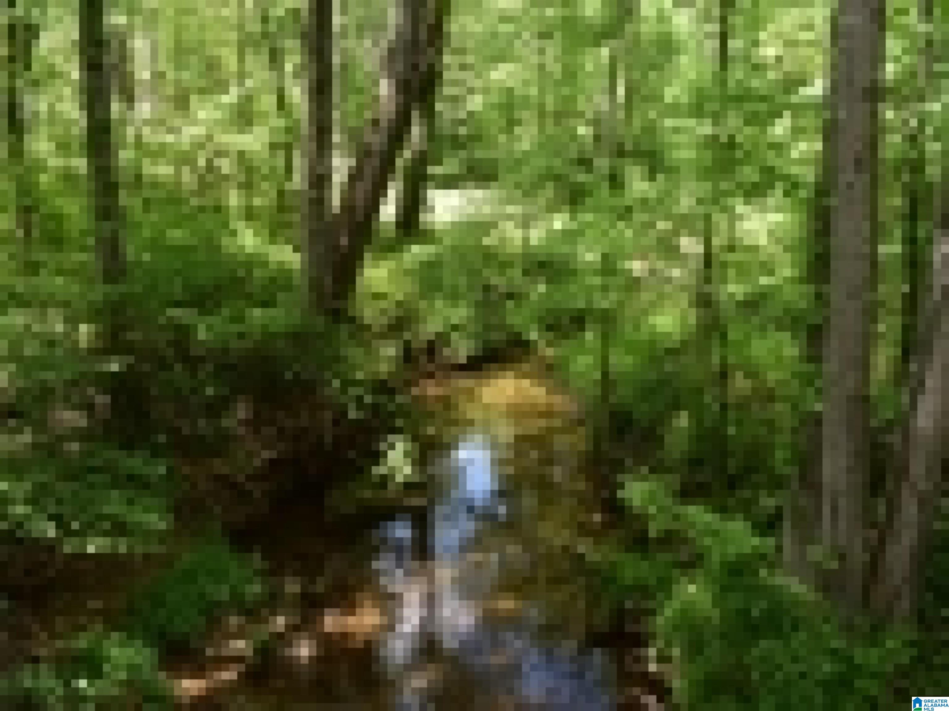 0 County Road 141, Unit 1 Ider, AL 35981 - Photo 26 of 29
