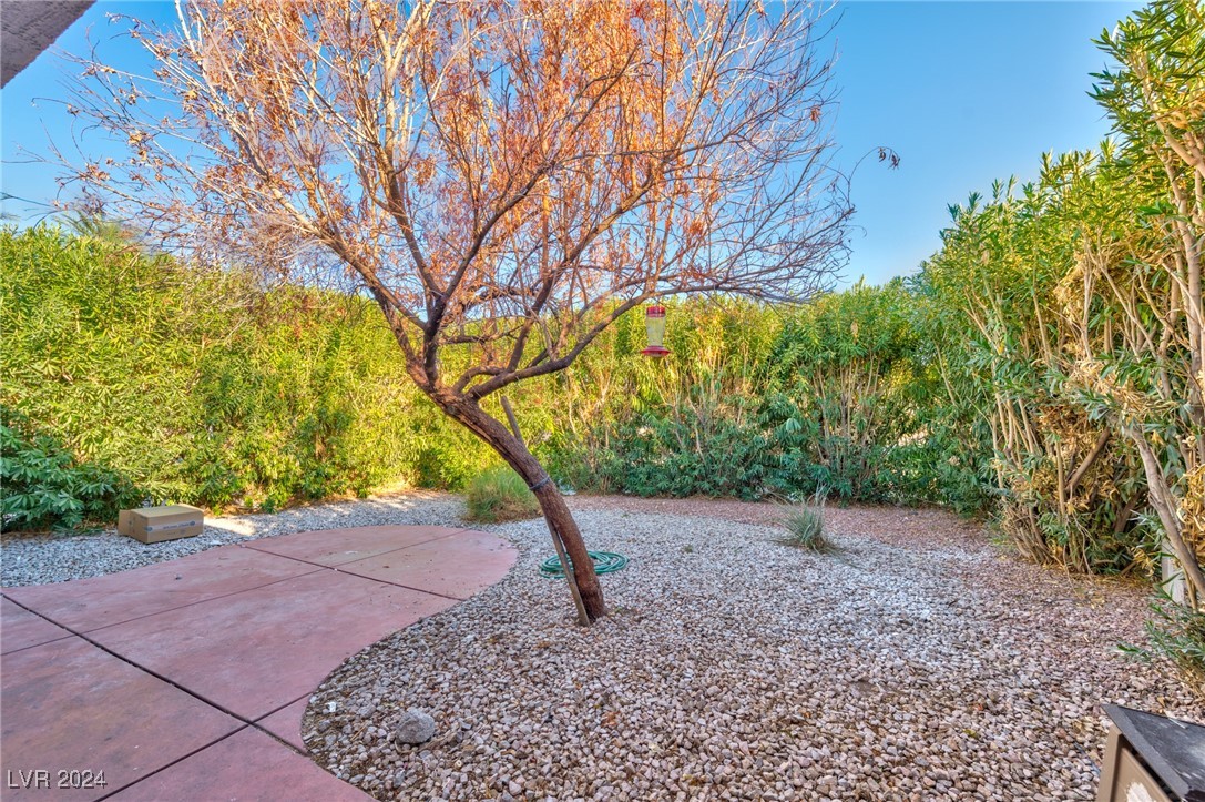 342 South Water Street, Unit 5 Henderson, NV 89015 - Photo 11 of 12