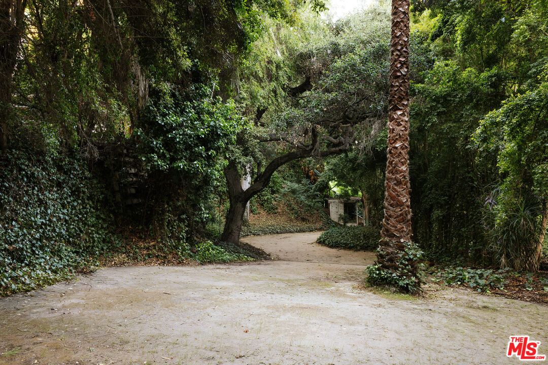 10934 Bellagio Road Los Angeles, CA 90077 - Photo 42 of 47 a view of a tree with a tree