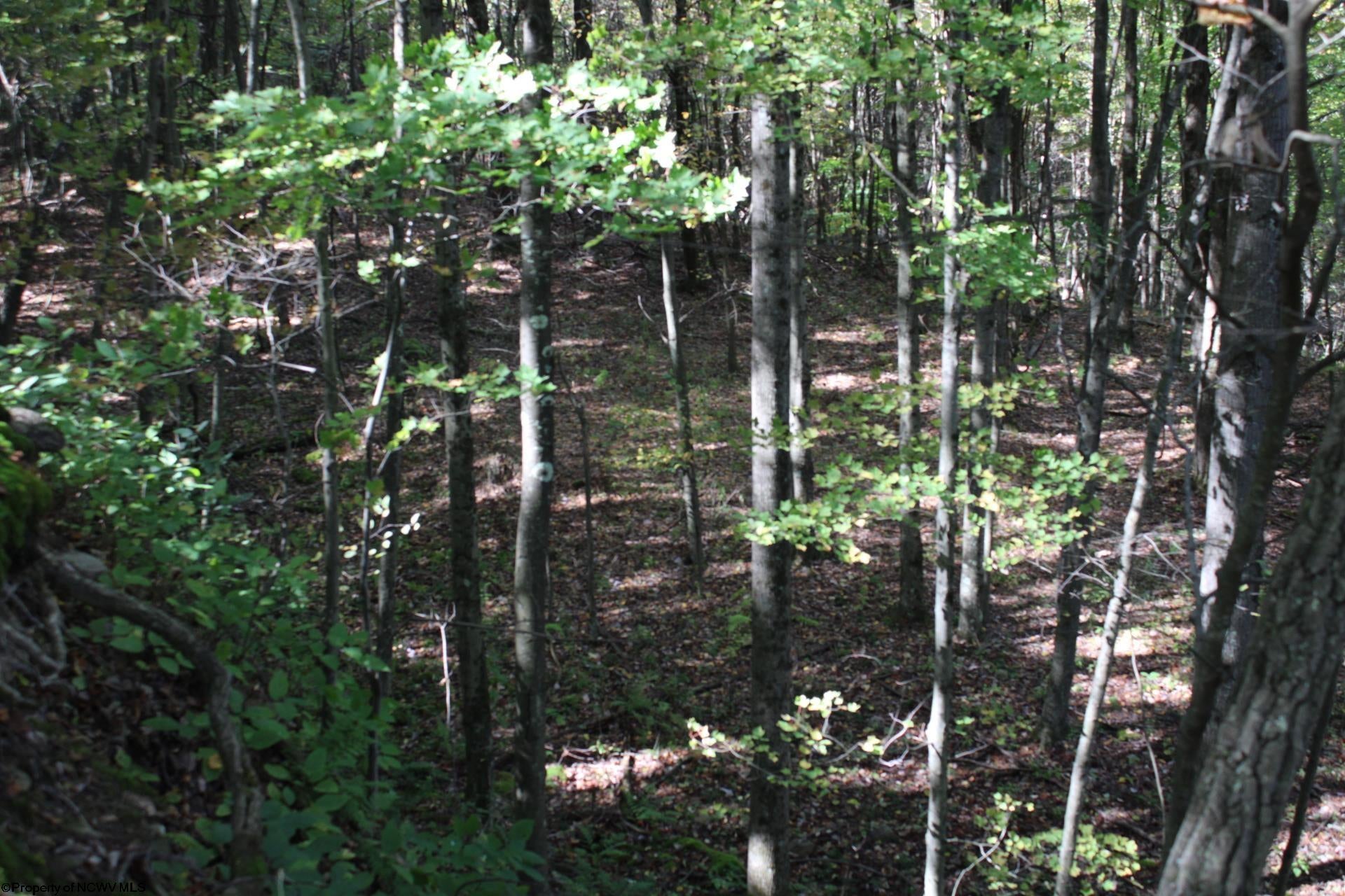 1430 Sand Bank Road Masontown, WV 26542 - Photo 16 of 29 Gallery Image 16