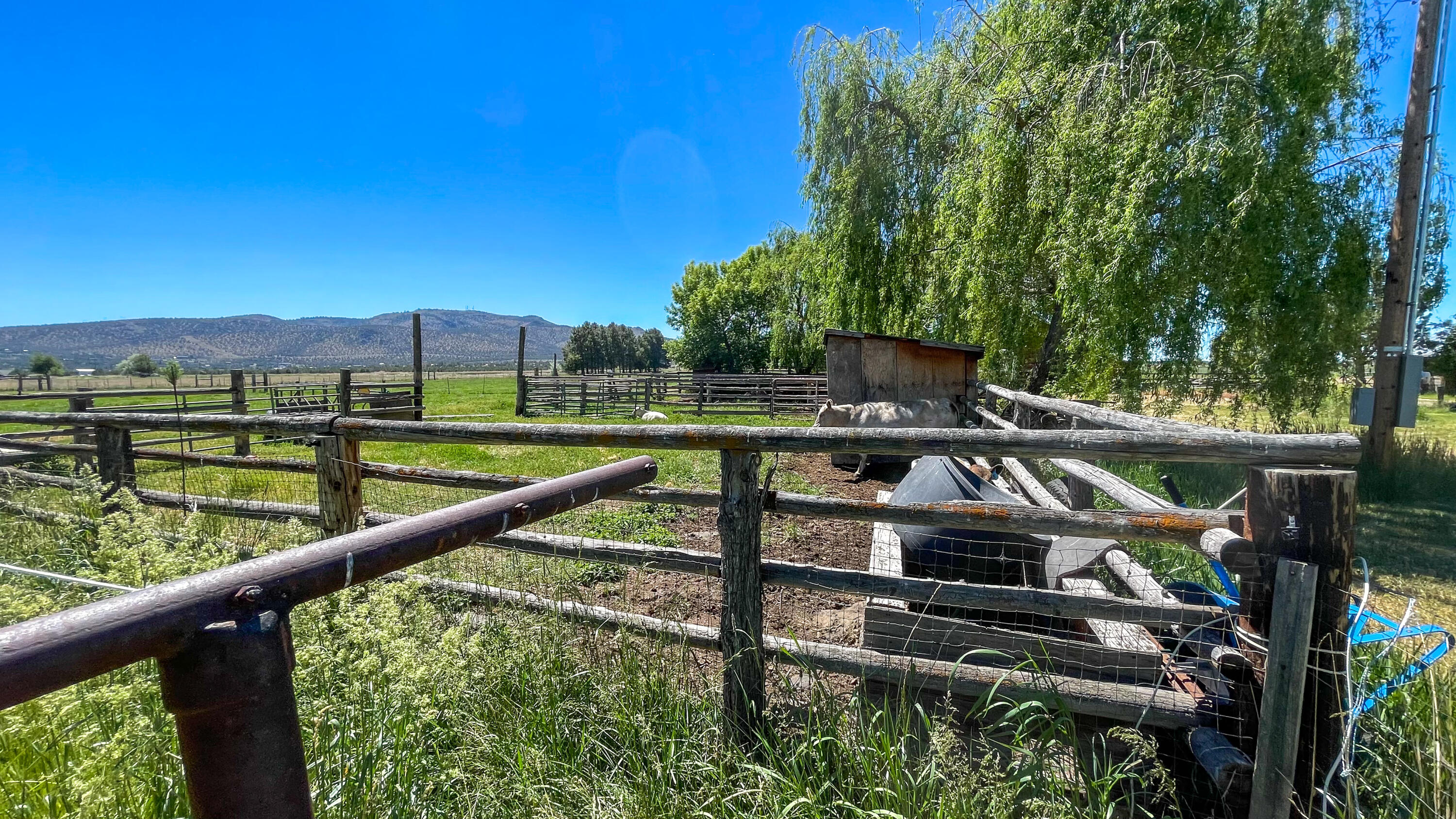 14212 Southwest Riggs Road Powell Butte, OR 97753 - Photo 8 of 48 corrals