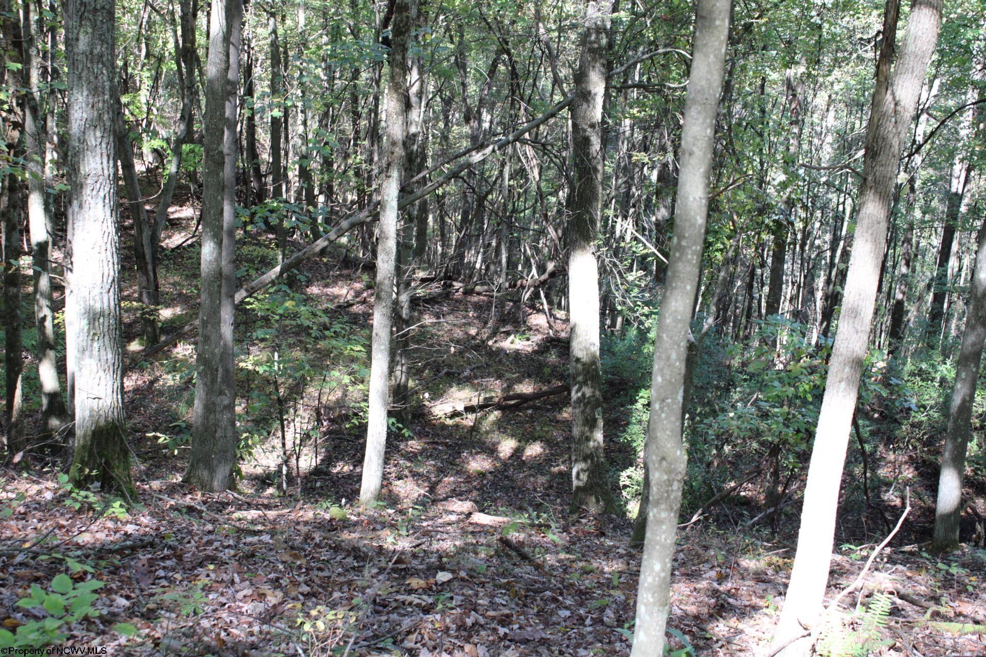 1430 Sand Bank Road Masontown, WV 26542 - Photo 23 of 29 Gallery Image 23
