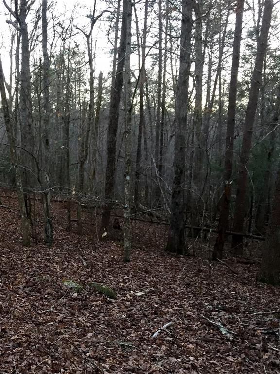 0 Deer Track Road Northeast Cornelia, GA 30531 - Photo 1 of 1 a view of outdoor space and yard