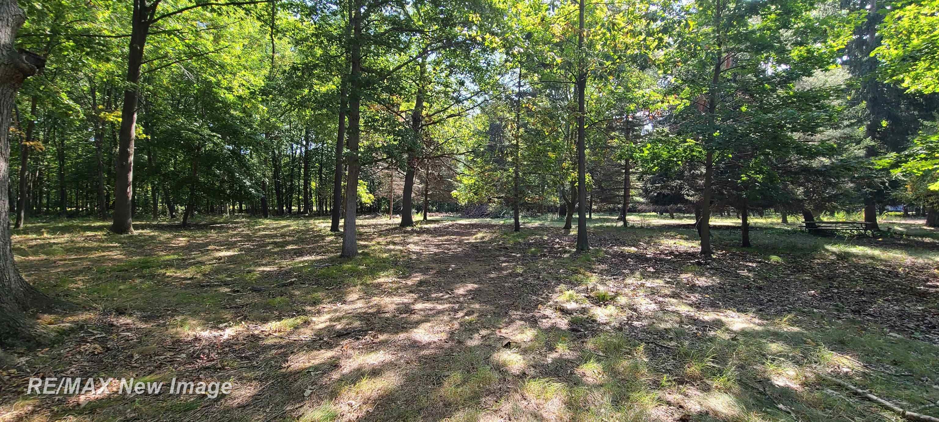 18575 South Raucholz Road Oakley, MI 48649 - Photo 52 of 55 50188499-7b1f7146-feae-4213-b9f2-f380bba17ae9.JPG