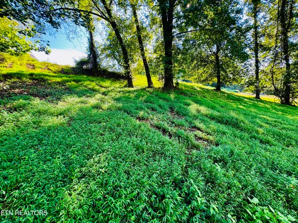 $85,000 | Lot 207 Clyde Ed Road, Kodak, TN 37764