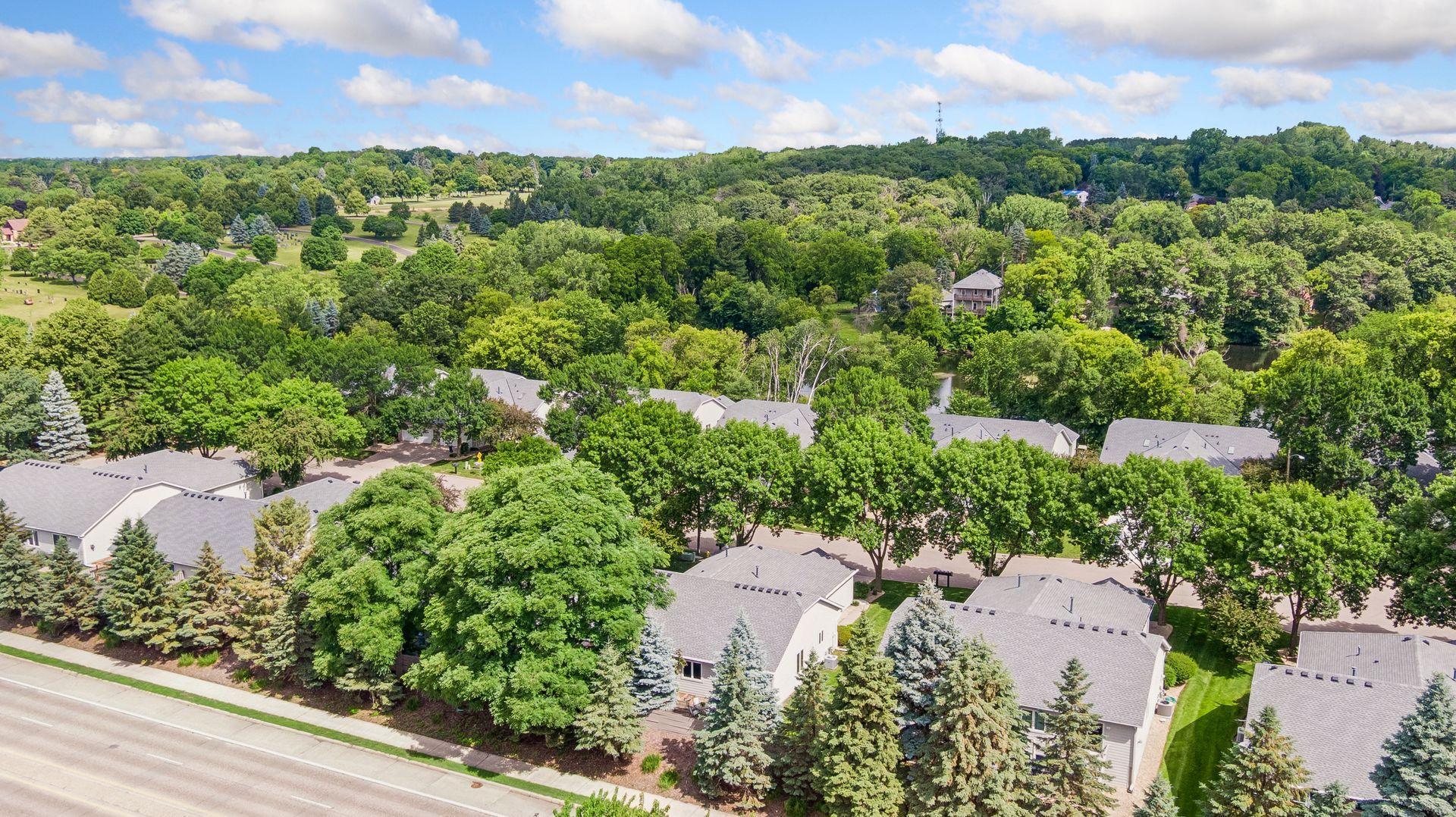 710 Emerald Ridge Roseville, MN 55113 - Photo 6 of 47