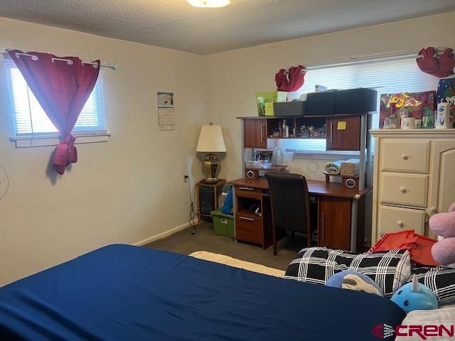 141 North Madison Street Cortez, CO 81321 - Photo 12 of 28