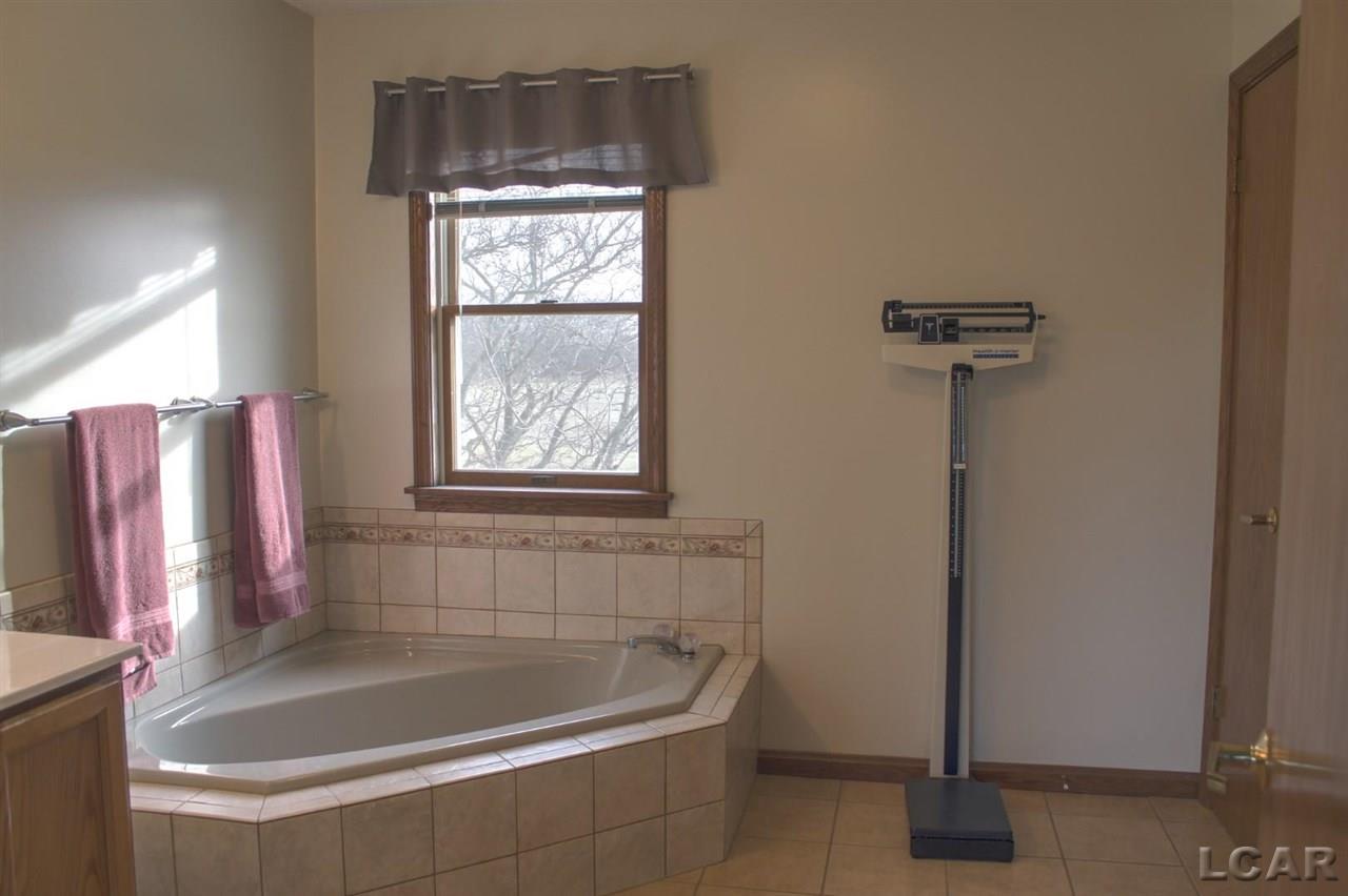 6111 Clinton Macon Road Clinton, MI 49236 - Photo 14 of 38