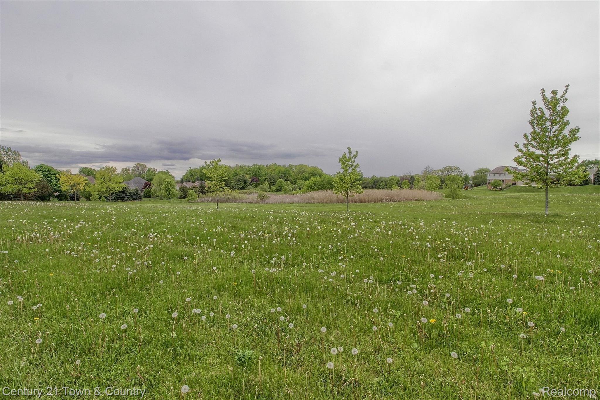 4210 Derry Court Rochester, MI 48306 - Photo 56 of 65 56-Backyard.jpg