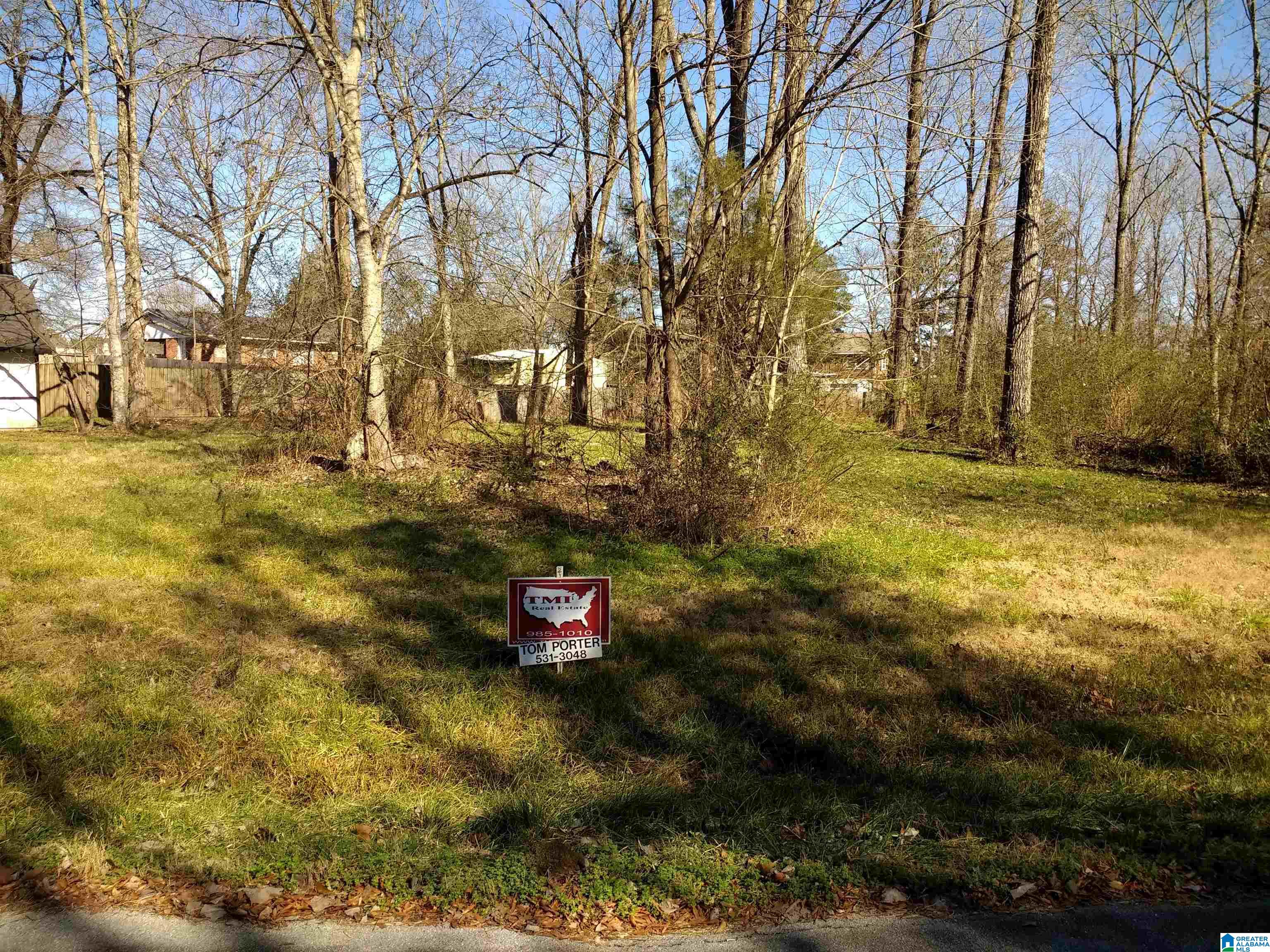 Lot 2 Deborah Drive, Unit 2 Jemison, AL 35085 - Photo 5 of 15
