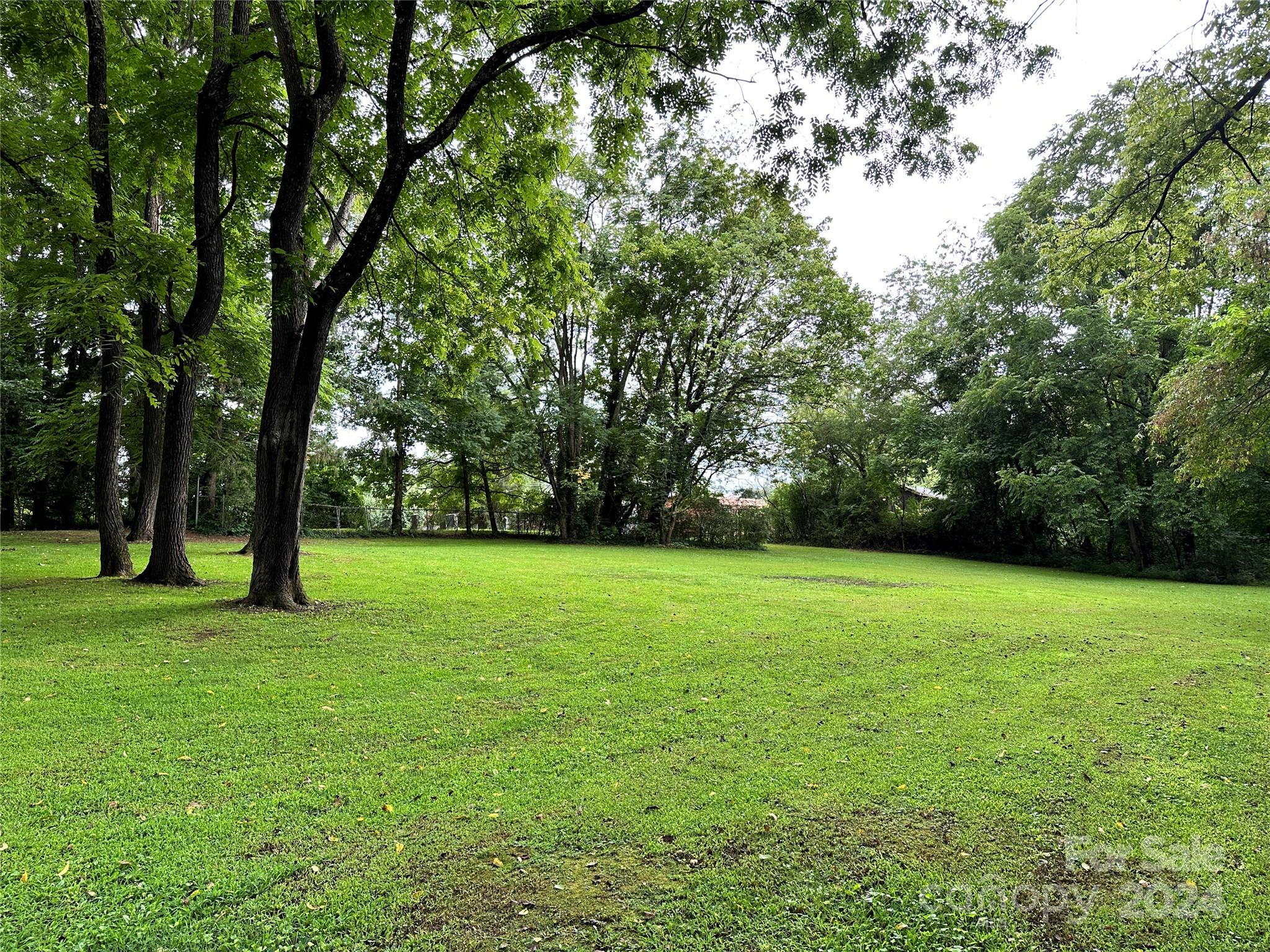 166 Candler School Road Candler, NC 28715 - Photo 42 of 46 Gallery Image 42